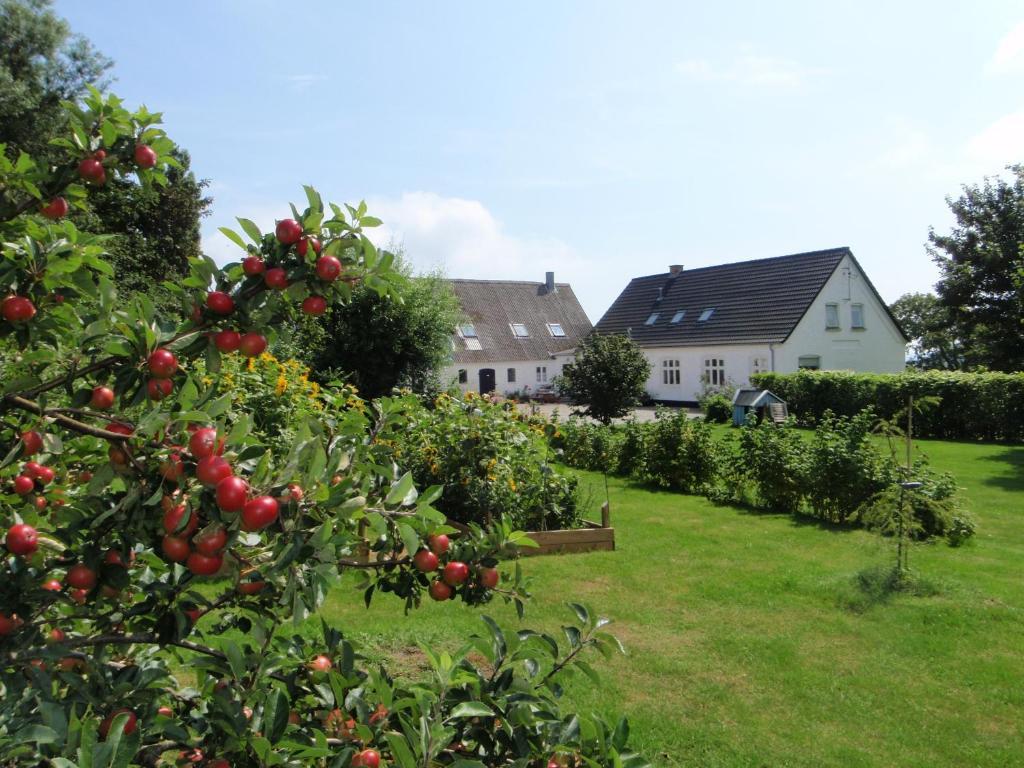 Ruhetgaard Holiday Apartment Ærøskøbing الغرفة الصورة