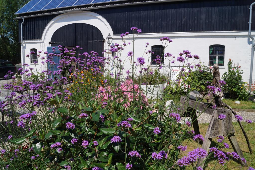 Ruhetgaard Holiday Apartment Ærøskøbing الغرفة الصورة